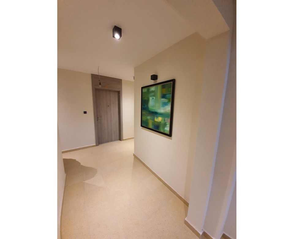 Novogradnja Čukarica - Nova zgrada u Marine Veličković 15