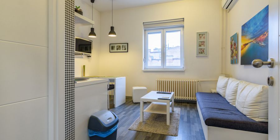 Perfect for leasing business or to live in: a Skadarlija apartment