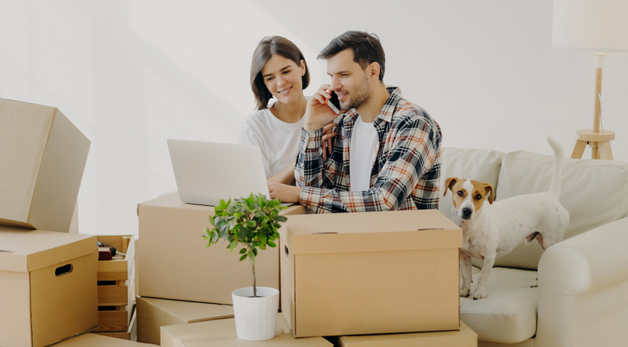 Allow pets to move in with their owners