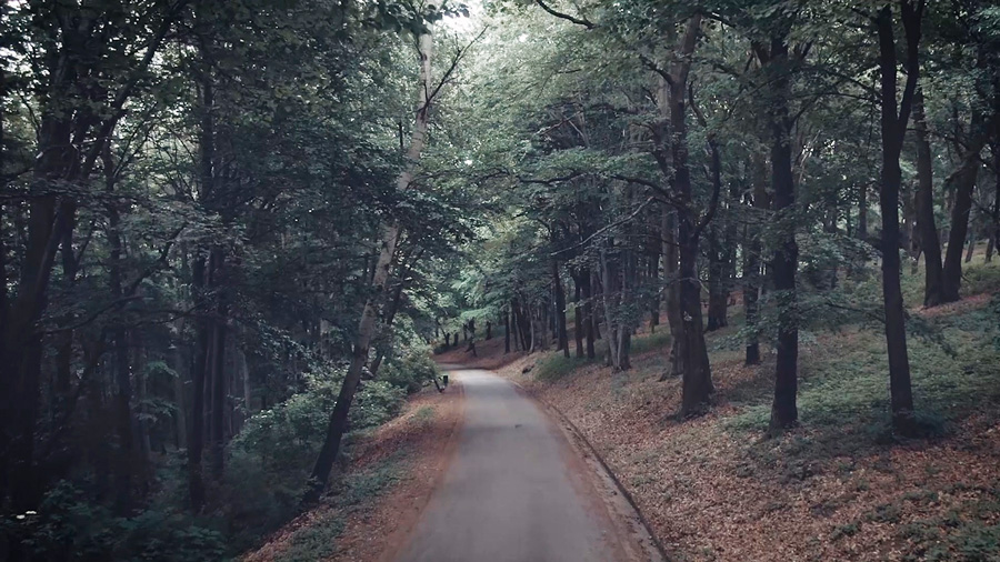 Kosmaj - planina na kojoj ćete maksimalno uživati