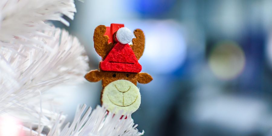 City Expert alternativni vodič za Novu godinu