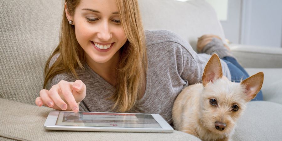 You do not have to wait for the holidays to end to schedule a visit for the chosen real estate