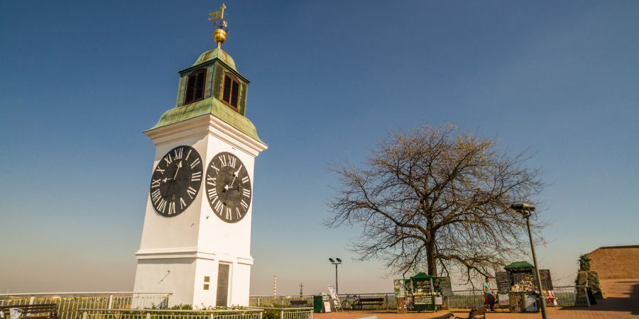 Nekoliko razloga da posetite Novi Sad u novembru