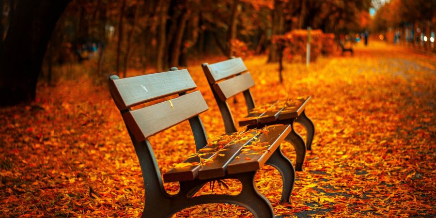 Oktobar u Novom Sadu