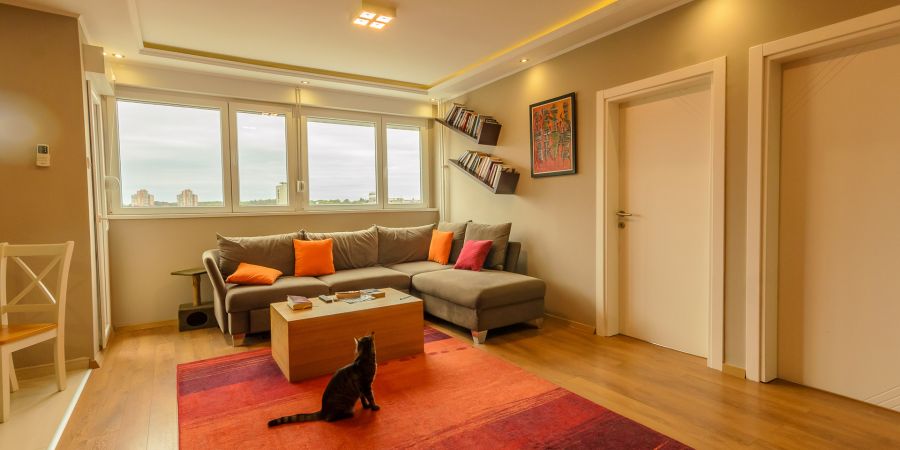 Pet friendly stanovi za izdavanje