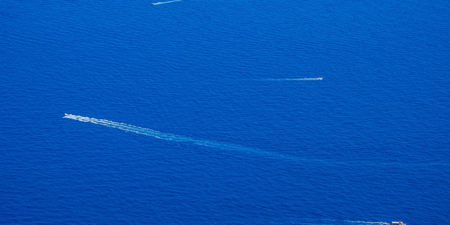 Šta nam govori boja za 2020. godinu?