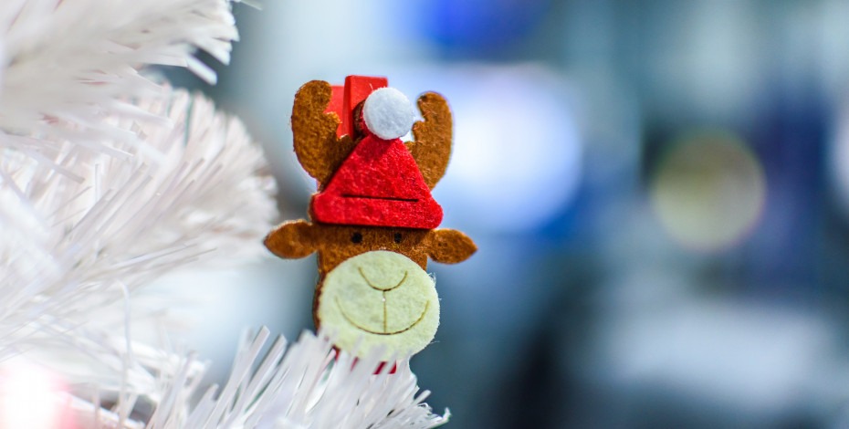 City Expert alternativni vodič za Novu godinu