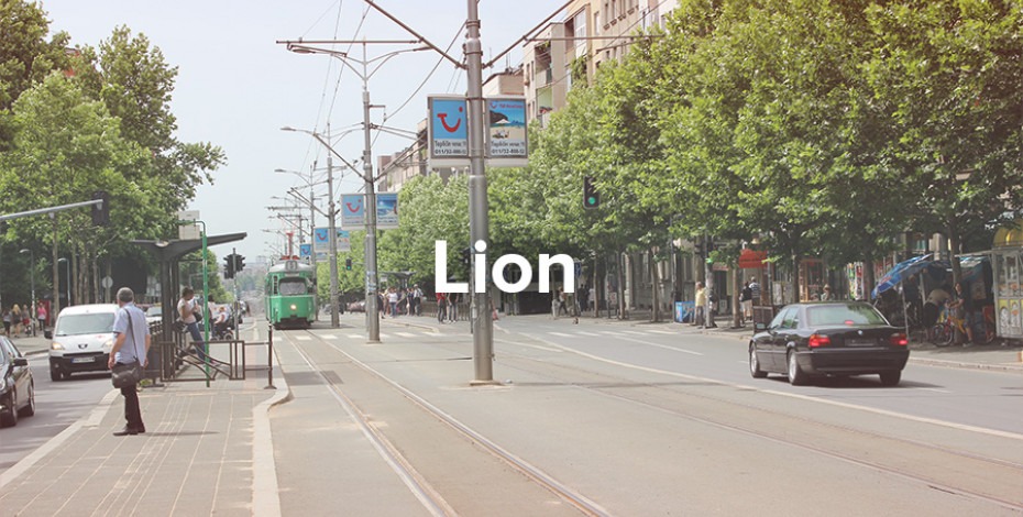 Lion - raskrsnica trgovine i kulture nadomak centra grada