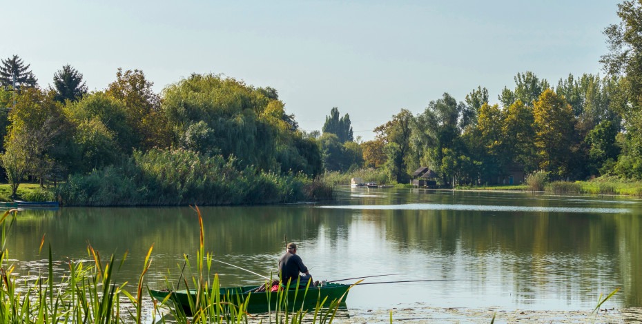 EVERYTHING IN ONE PLACE: Peace and comfort for 150 € per month