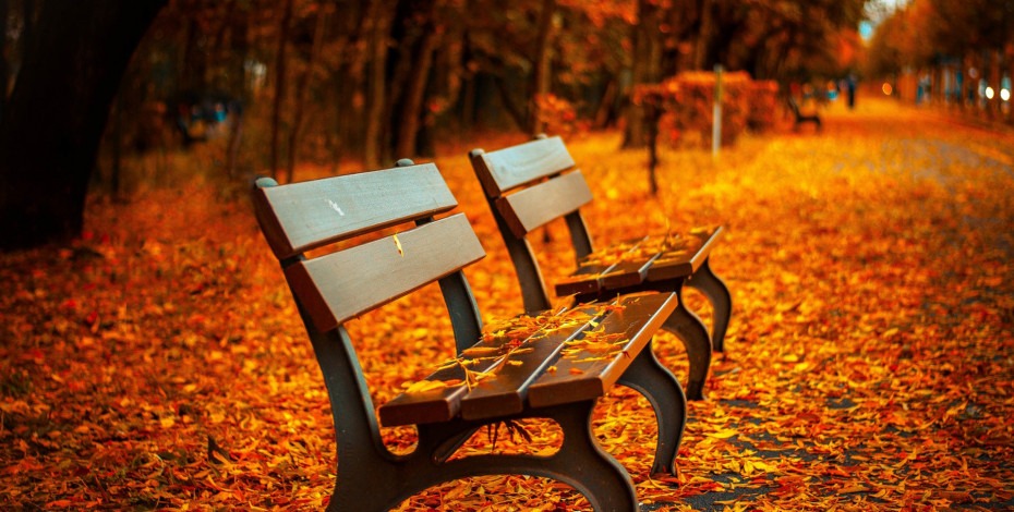 Oktobar u Novom Sadu