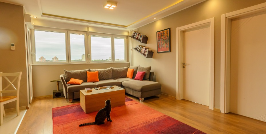 Pet friendly stanovi za izdavanje