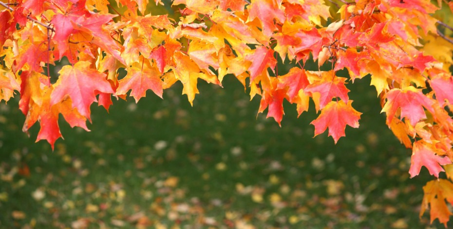 Septembar u Beogradu