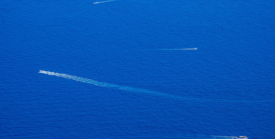 Šta nam govori boja za 2020. godinu?